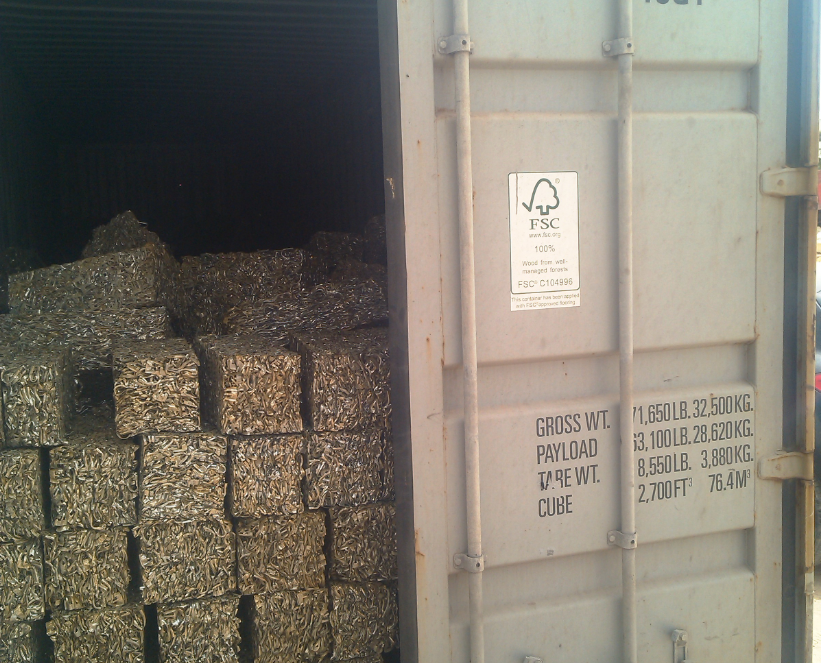 Cargo & Storage Inspections